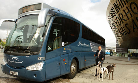 Greyhound New Buses