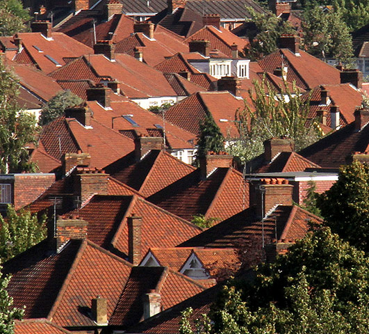 Guardian Camera Club: Sabine Thole participates in the housing photography monthly assignment