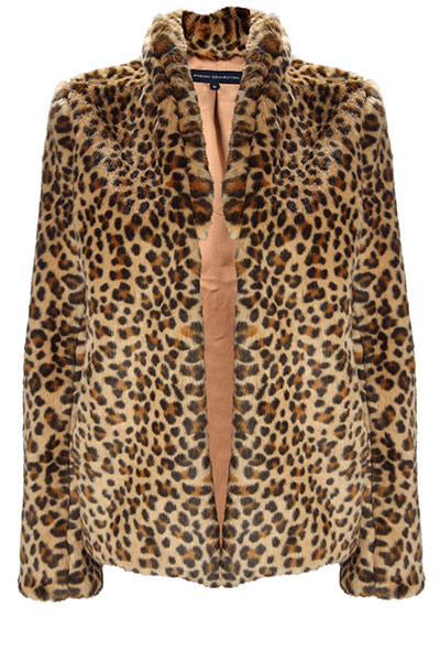 leopard print gallery: leopard print gallery 5