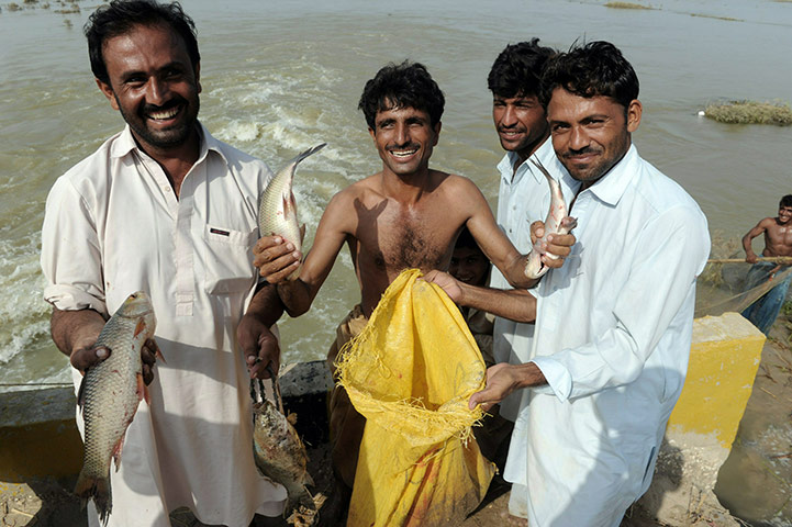 Pakistan Flooding Update: Flood affected Pakistanis show fish after fishing in the flood water