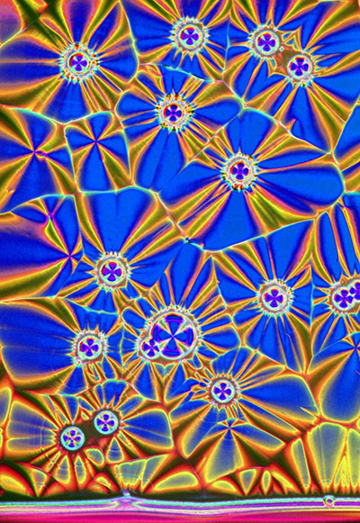 Bike blog: Vitamin C crystals