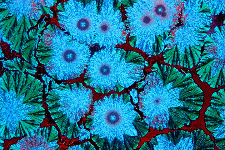 Bike blog: Crystals of coconut butter