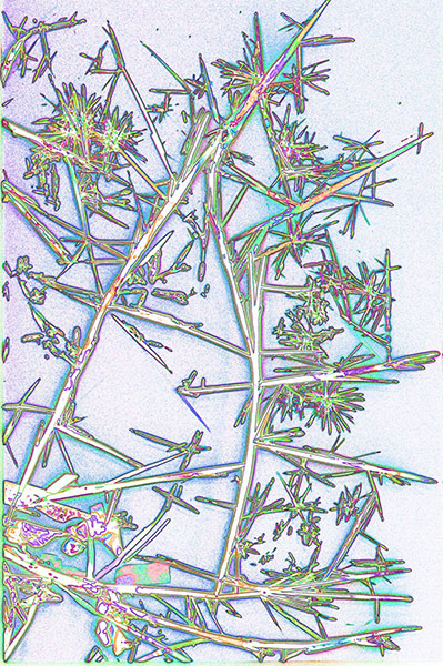 Bike blog: Crystals of adrenaline, viewed with cross