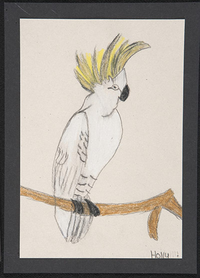 Art Into Literacy: A child's drawing of a cock-a-too