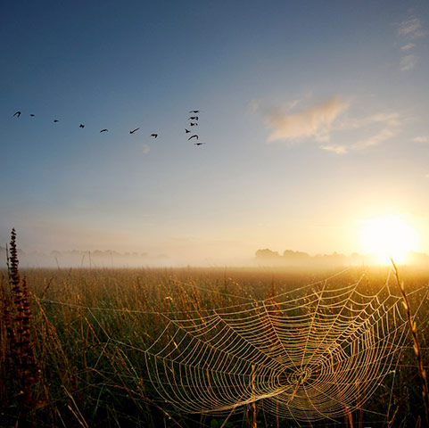 blipfoto: S2 blipfoto