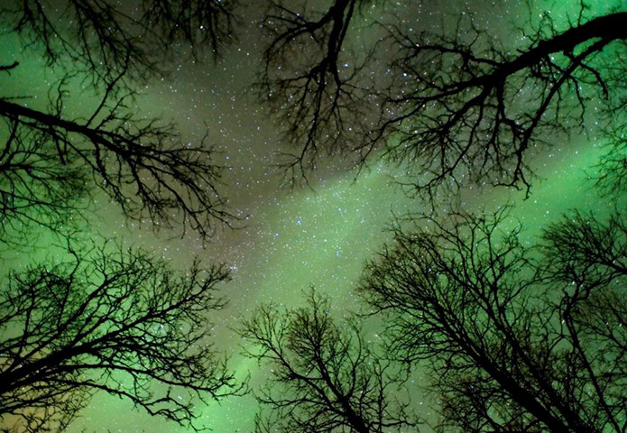 Astronomy Photographer: Fredrik Broms, entry in Astronomy Photographer of the Year