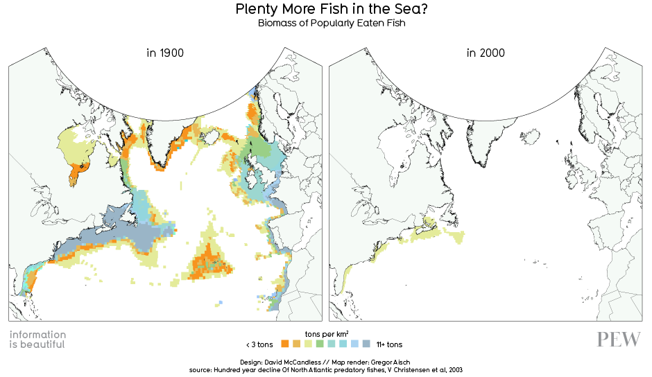 Fish Population Chart