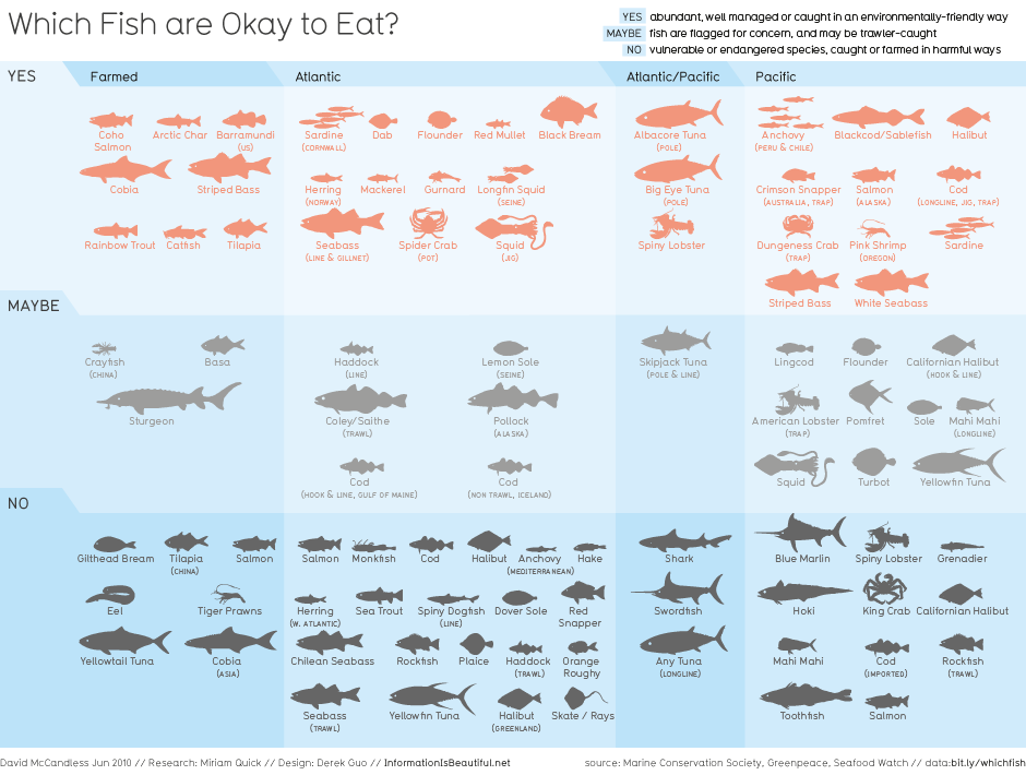 Information is Beautiful on which fish are OK to eat