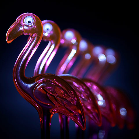 Camera Club: Eight Camera Club Assignment Entries from 2010: Matthew Phypers