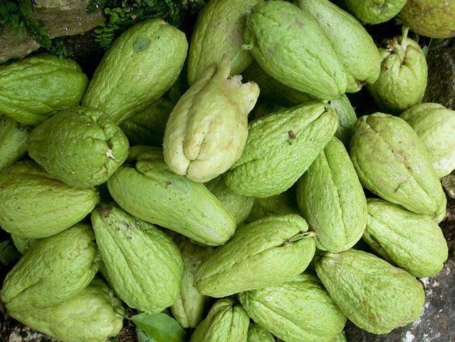 Haitian teenagers: document their nation though unique photographs in Jacmel