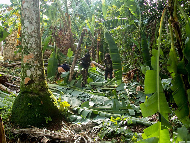 Haitian teenagers: document their nation though unique photographs in Jacmel