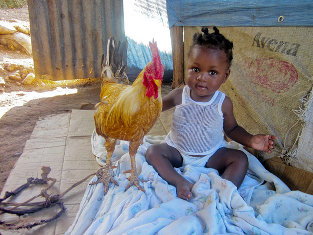 Haitian teenagers: document their nation though unique photographs in Jacmel