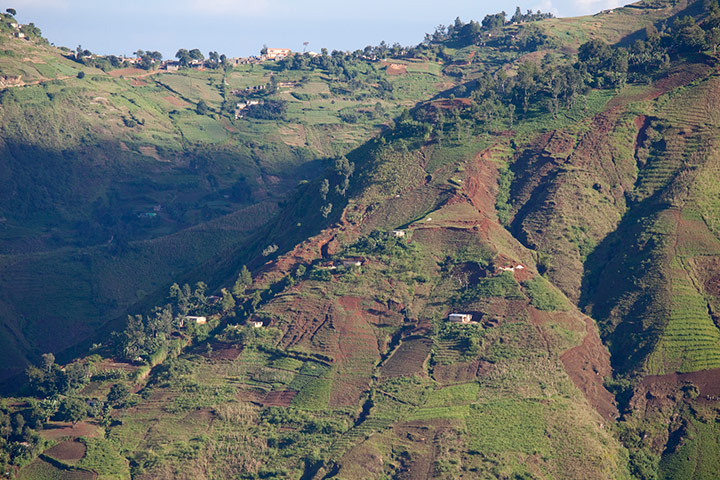 Frogs of Haiti: Denuded hillsides in the Massif de la Selle