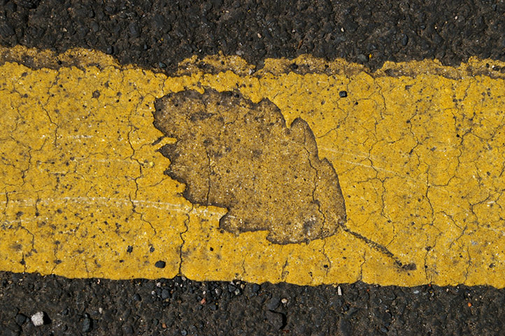 In pictures: shape: shape of a leaf