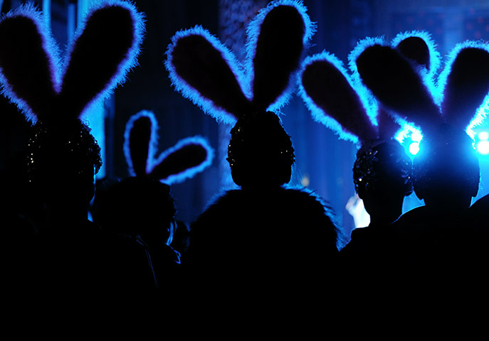 24 hours in pictures: Russian performers dressed as rabbits