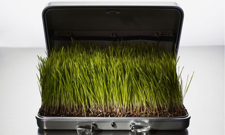 sustainable business awards