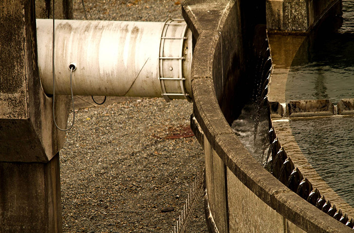 Camera Club: Peter Hodge participates in the utilities photography assignment