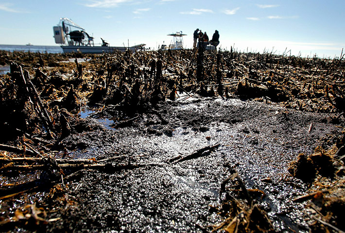 Week in business: Oil on dead marshes in January 2011 in Port Sulphur, Louisiana