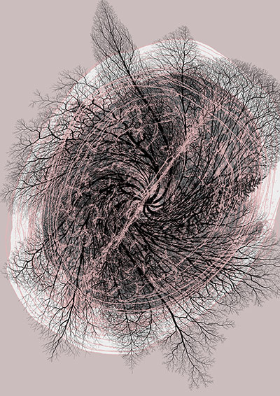 Brainstorm: Investigating the brain through art and science