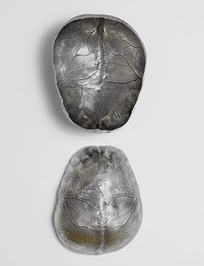 Brainstorm: Investigating the brain through art and science