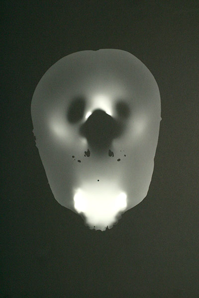 Brainstorm: Investigating the brain through art and science