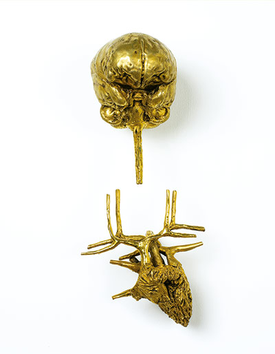 Brainstorm: Investigating the brain through art and science