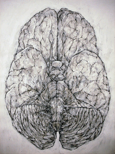 Brainstorm: Investigating the brain through art and science