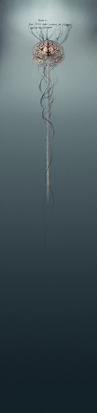 Brainstorm: Investigating the brain through art and science