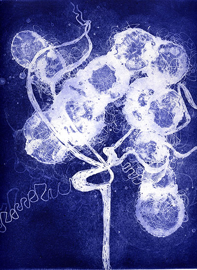 Brainstorm: Investigating the brain through art and science