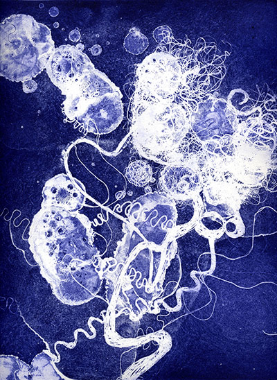 Brainstorm: Investigating the brain through art and science