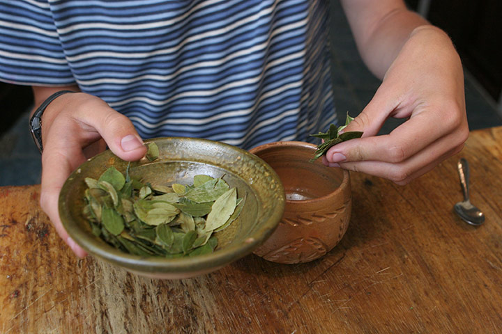 Coca products: Coca leaf tea is prepared in a cafe in La Paz, Bolivia