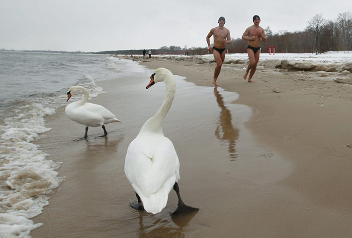 24 hours in pictures: New year swimmers in Gdansk