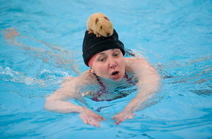 sport: UK Cold Water Swimmimg Championships