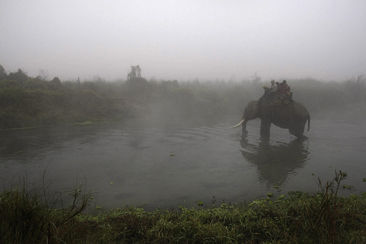 24 hours in pictures: Chitwan. Nepal: An elephant carries tourists across a waterway