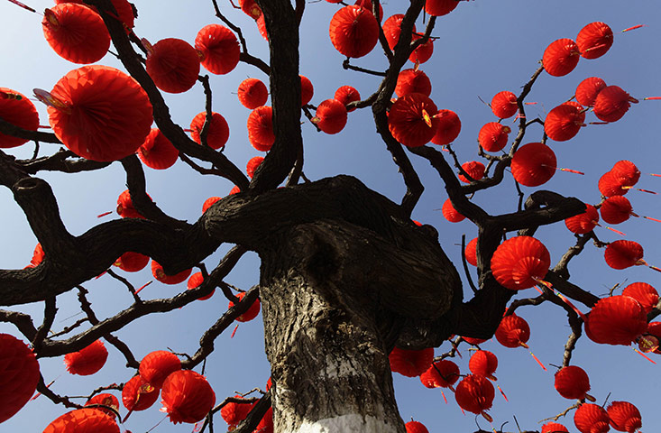 24 hours in pictures: Red lanterns in Beijing