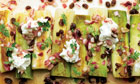 Yotam Ottolenghi's braised leeks with goat's curd recipe