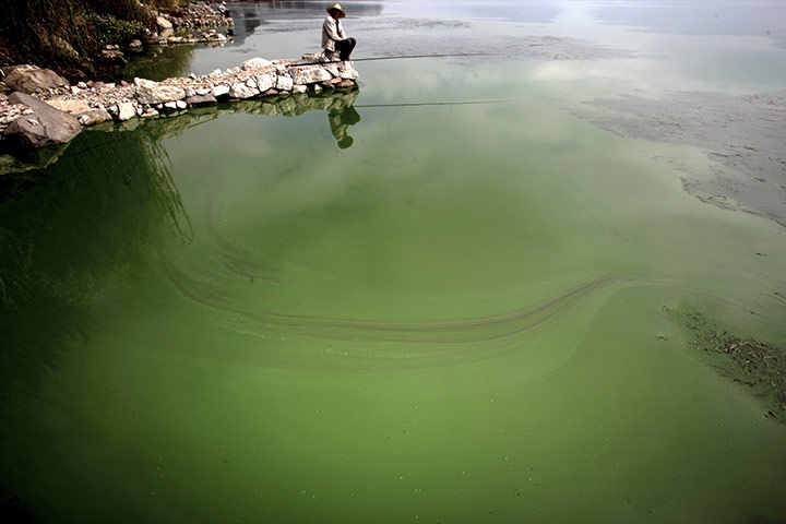 2010 Environment in China: First ever report on pollution Feb (agriculture blamed)