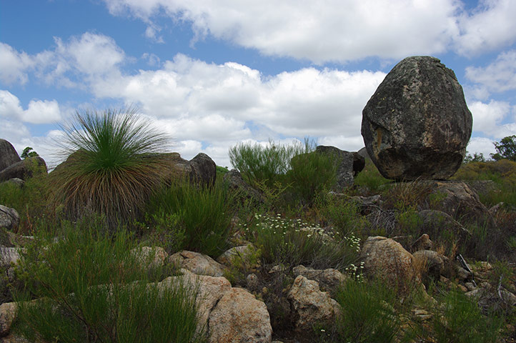 Australian Season: Australia Season: OCBIL Landscape