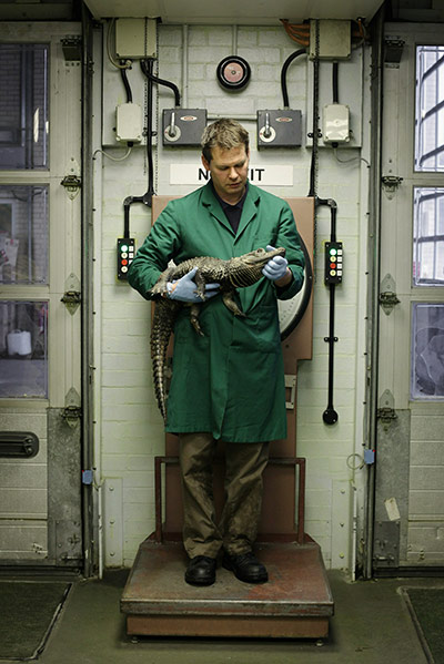 From the agencies: Animals At The Heathrow Animals Reception Centre