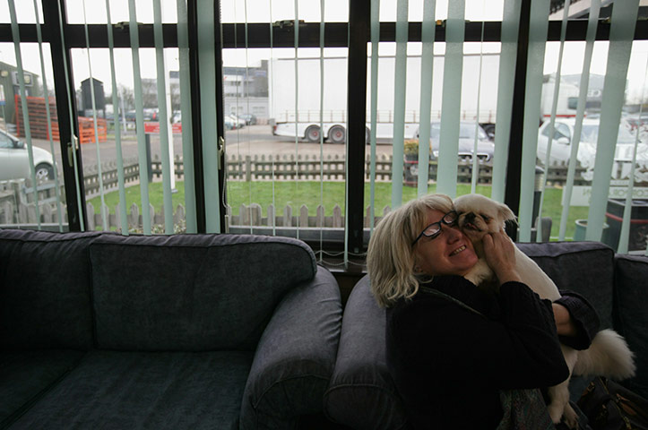 From the agencies: Animals At The Heathrow Animals Reception Centre