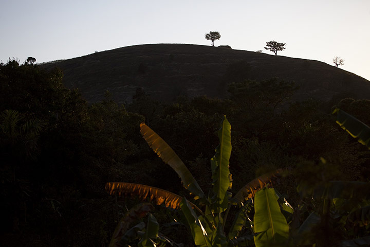 Week in Wildlife: Trees sit at the top of a mountain in Nord Ouest, Haiti
