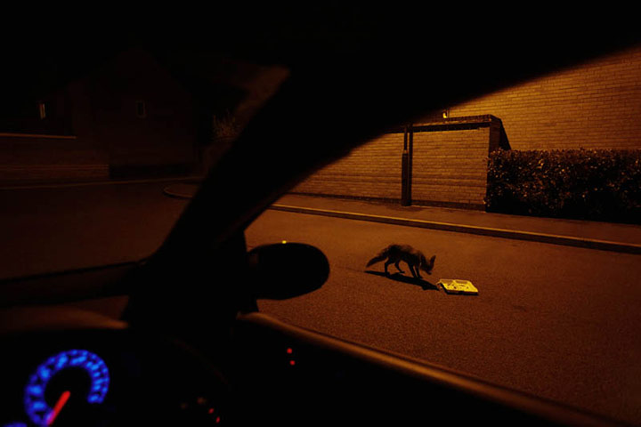 BWPA: Call for entries