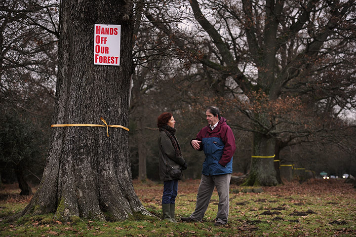 Forest of Dean Protest: Woodland selloff