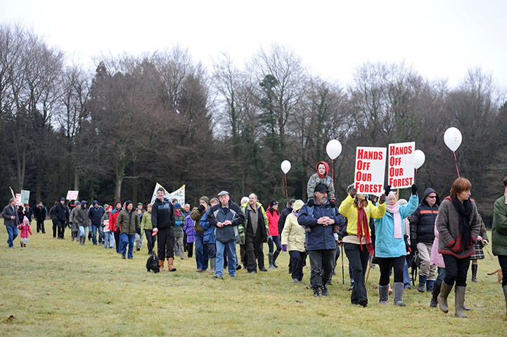 Forest of Dean Protest: Woodland selloff