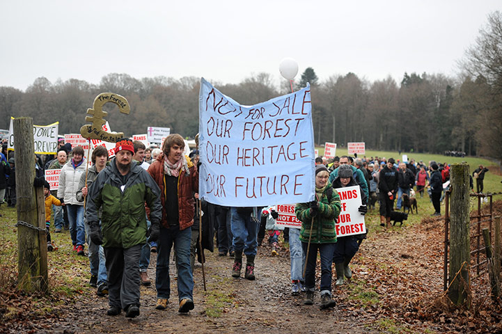 Forest of Dean Protest: Woodland selloff