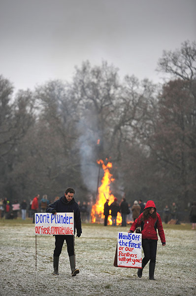 Forest of Dean Protest: Woodland selloff