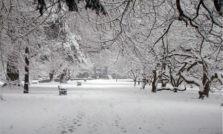 bute park cardiff snow