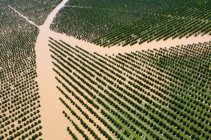 Floods in Australia: Crops inundated by the rising floodwaters west of Rockhampton