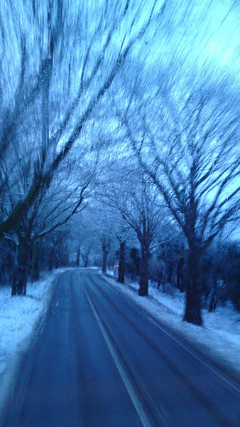 Green Shoots: Dusk and Dawn