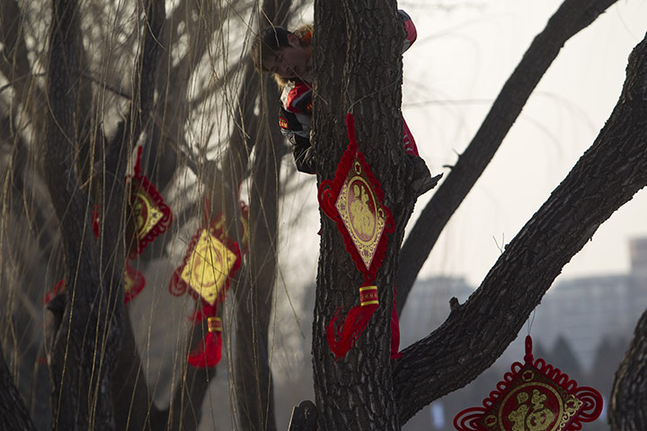 24 hours: Beijing, China: A worker hangs the Chinese character Fu on trees
